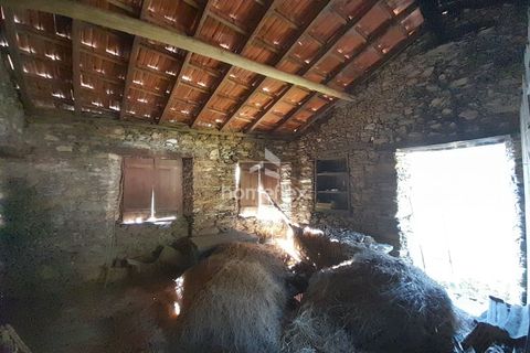 Villa a Arganil, Coimbra, Arganil - € 16.000 | Ref: 1559/AV - foto 19