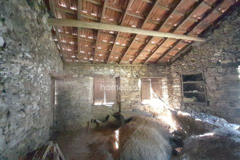 Villa a Arganil, Coimbra, Arganil - € 16.000 | Ref: 1559/AV - foto 20