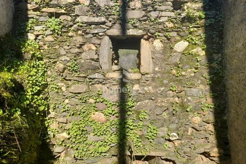 Villa a Arganil, Coimbra, Arganil - € 16.000 | Ref: 1559/AV - foto 22