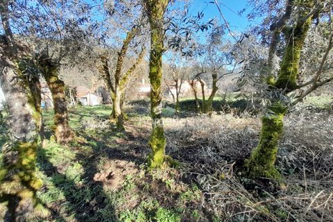 Villa a Arganil, Coimbra, Arganil - € 16.000 | Ref: 1559/AV - foto 24