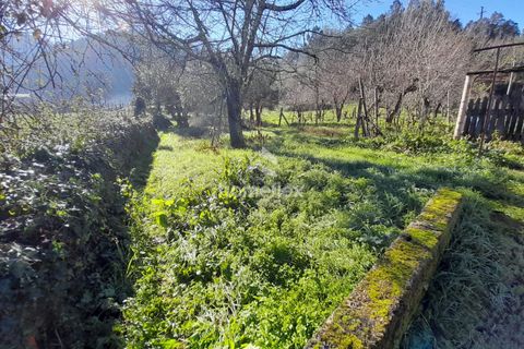 Villa a Arganil, Coimbra, Arganil - € 16.000 | Ref: 1559/AV - foto 25