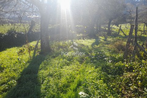 Villa a Arganil, Coimbra, Arganil - € 16.000 | Ref: 1559/AV - foto 26