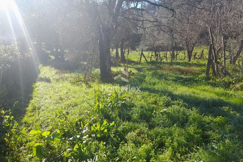 Villa a Arganil, Coimbra, Arganil - € 16.000 | Ref: 1559/AV - foto 27