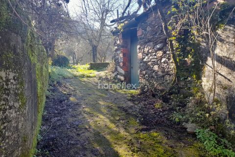 Villa a Arganil, Coimbra, Arganil - € 16.000 | Ref: 1559/AV - foto 28