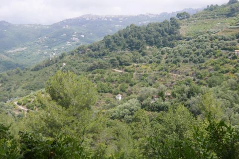 Tomt i Perinaldo, Imperia, Perinaldo - € 49 000 | Ref: 85066122 - foto 3