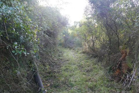 Tomt i Perinaldo, Imperia, Perinaldo - € 49 000 | Ref: 85066122 - foto 4