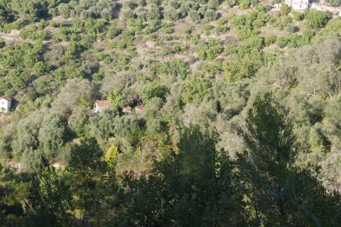 Tomt i Perinaldo, Imperia, Perinaldo - € 49 000 | Ref: 85066122 - foto 5