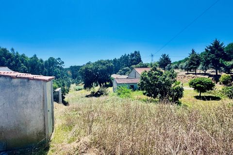Helårsgrund i Asseiceira, Santarem, Asseiceira - € 35.000 | Ref: VCP293 - foto 1