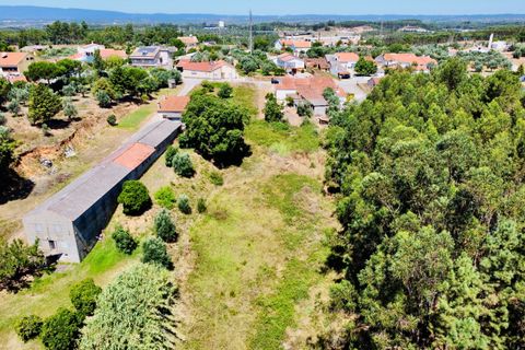 Helårsgrund i Asseiceira, Santarem, Asseiceira - € 35.000 | Ref: VCP293 - foto 2