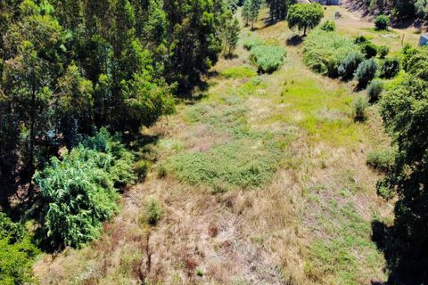 Helårsgrund i Asseiceira, Santarem, Asseiceira - € 35.000 | Ref: VCP293 - foto 3