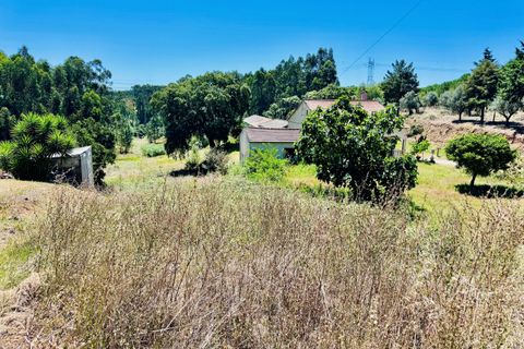 Helårsgrund i Asseiceira, Santarem, Asseiceira - € 35.000 | Ref: VCP293 - foto 5