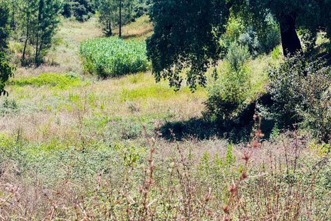 Helårsgrund i Asseiceira, Santarem, Asseiceira - € 35.000 | Ref: VCP293 - foto 6