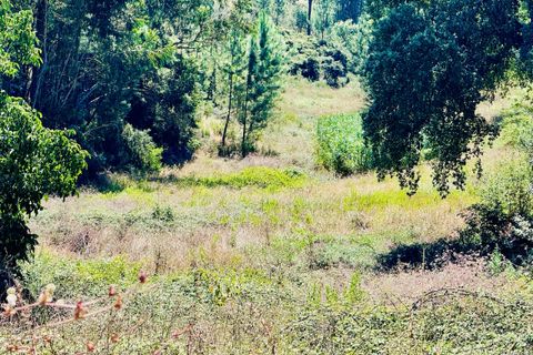 Helårsgrund i Asseiceira, Santarem, Asseiceira - € 35.000 | Ref: VCP293 - foto 7