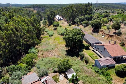 Helårsgrund i Asseiceira, Santarem, Asseiceira - € 35.000 | Ref: VCP293 - foto 8