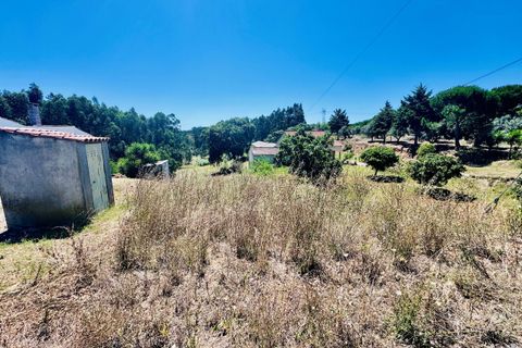 Helårsgrund i Asseiceira, Santarem, Asseiceira - € 35.000 | Ref: VCP293 - foto 9