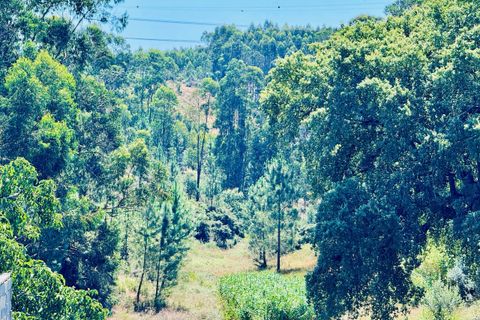 Helårsgrund i Asseiceira, Santarem, Asseiceira - € 35.000 | Ref: VCP293 - foto 10