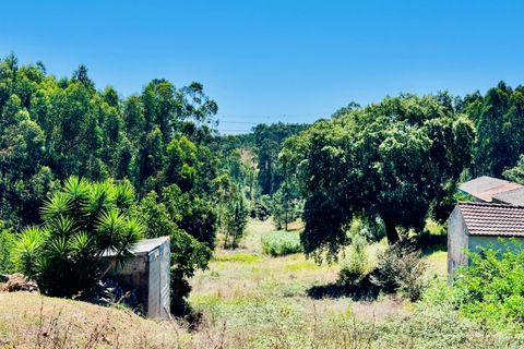 Helårsgrund i Asseiceira, Santarem, Asseiceira - € 35.000 | Ref: VCP293 - foto 11