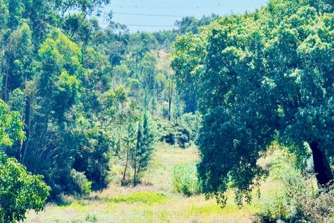 Helårsgrund i Asseiceira, Santarem, Asseiceira - € 35.000 | Ref: VCP293 - foto 12