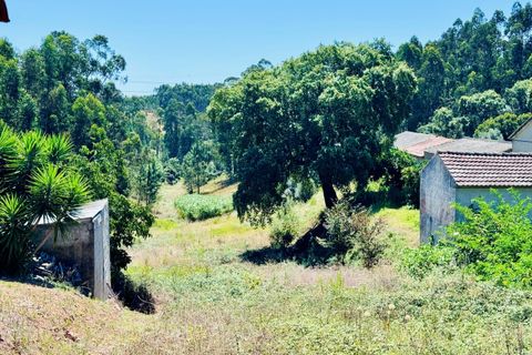 Helårsgrund i Asseiceira, Santarem, Asseiceira - € 35.000 | Ref: VCP293 - foto 13