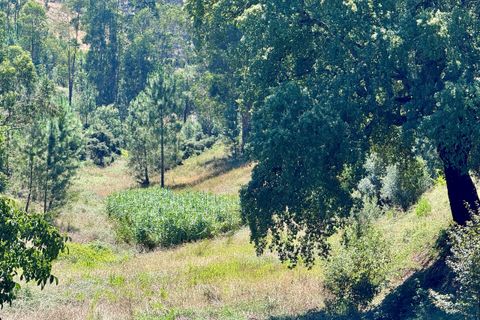 Helårsgrund i Asseiceira, Santarem, Asseiceira - € 35.000 | Ref: VCP293 - foto 14