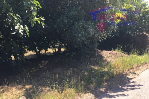 Erhvervsejendom i Serta, Castelo Branco, Serta - € 7.850 | Ref: HV337/0724 - foto 7
