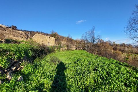 Landejendom i Guarda, Guarda, Guarda - € 37.500 | Ref: 046210083 - foto 3