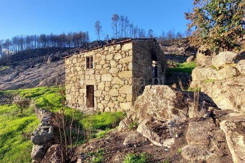 Landejendom i Guarda, Guarda, Guarda - € 37.500 | Ref: 046210083 - foto 4