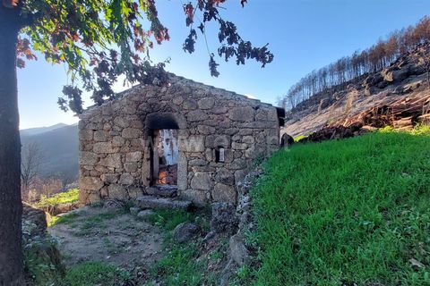Landejendom i Guarda, Guarda, Guarda - € 37.500 | Ref: 046210083 - foto 5