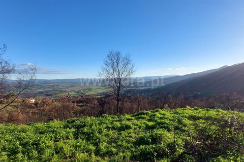Landejendom i Guarda, Guarda, Guarda - € 37.500 | Ref: 046210083 - foto 6