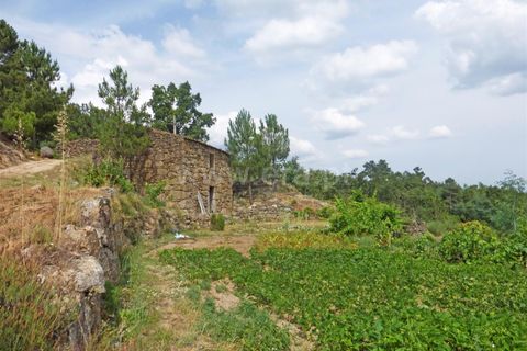 Landejendom i Guarda, Guarda, Guarda - € 37.500 | Ref: 046210083 - foto 7