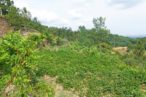 Landejendom i Guarda, Guarda, Guarda - € 37.500 | Ref: 046210083 - foto 8