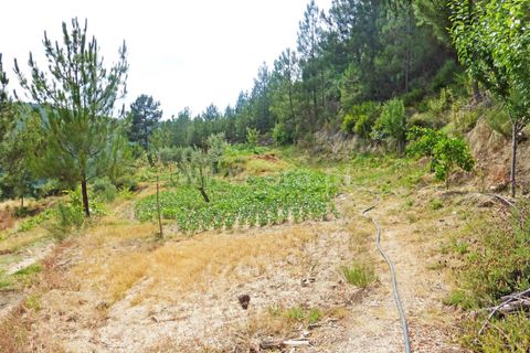 Landejendom i Guarda, Guarda, Guarda - € 37.500 | Ref: 046210083 - foto 9