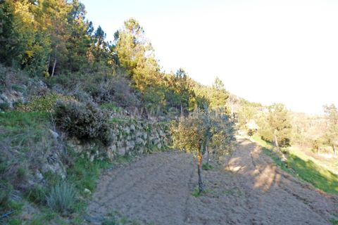 Landejendom i Guarda, Guarda, Guarda - € 37.500 | Ref: 046210083 - foto 11