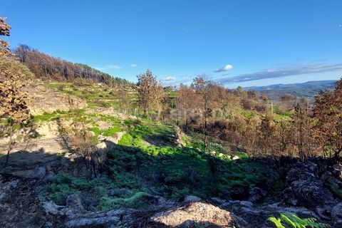 Landejendom i Guarda, Guarda, Guarda - € 37.500 | Ref: 046210083 - foto 12