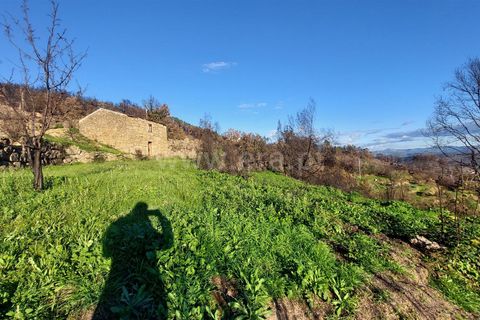 Landejendom i Guarda, Guarda, Guarda - € 37.500 | Ref: 046210083 - foto 17