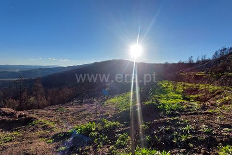 Landejendom i Guarda, Guarda, Guarda - € 37.500 | Ref: 046210083 - foto 18