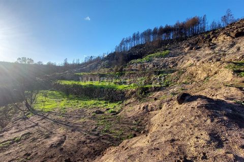 Landejendom i Guarda, Guarda, Guarda - € 37.500 | Ref: 046210083 - foto 20