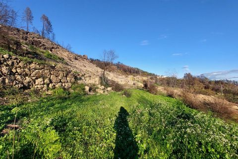 Landejendom i Guarda, Guarda, Guarda - € 37.500 | Ref: 046210083 - foto 21