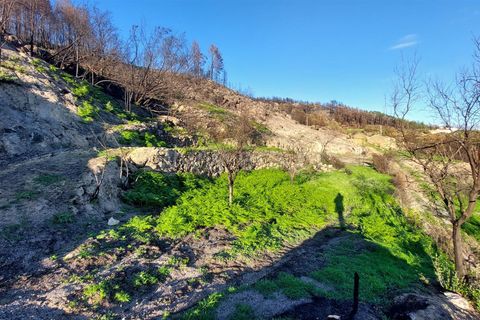 Landejendom i Guarda, Guarda, Guarda - € 37.500 | Ref: 046210083 - foto 22