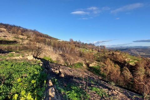 Landejendom i Guarda, Guarda, Guarda - € 37.500 | Ref: 046210083 - foto 23