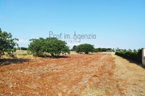 Villa i Carovigno, Brindisi, Carovigno - € 150.000 | Ref: 122727 - foto 9