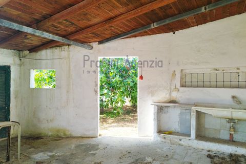 Villa i Carovigno, Brindisi, Carovigno - € 150.000 | Ref: 122727 - foto 5