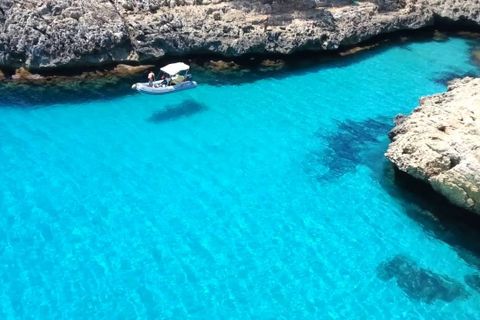 Helårsgrund i Manacor, Mallorca, Manacor - € 650.000 | Ref: MAN0455 - foto 22