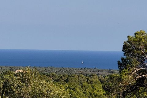 Helårsgrund i Manacor, Mallorca, Manacor - € 650.000 | Ref: MAN0455 - foto 20