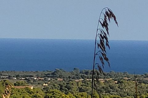Helårsgrund i Manacor, Mallorca, Manacor - € 650.000 | Ref: MAN0455 - foto 24