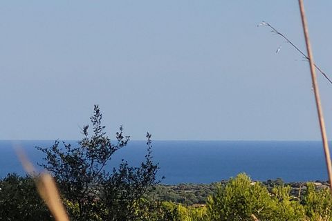 Helårsgrund i Manacor, Mallorca, Manacor - € 650.000 | Ref: MAN0455 - foto 28