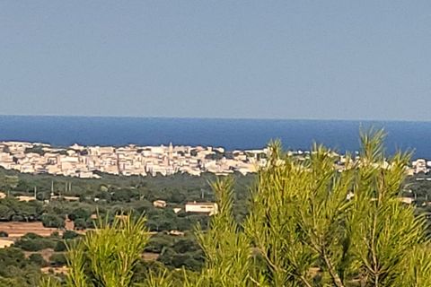 Helårsgrund i Manacor, Mallorca, Manacor - € 650.000 | Ref: MAN0455 - foto 29