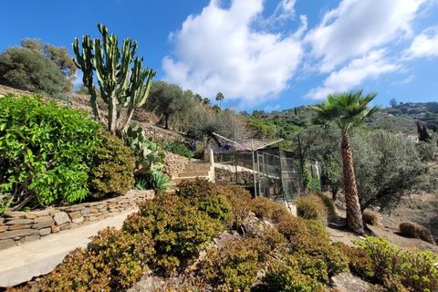 Villa a Sayalonga, Malaga, Sayalonga - € 1.350.000 | Ref: C3870 - foto 49