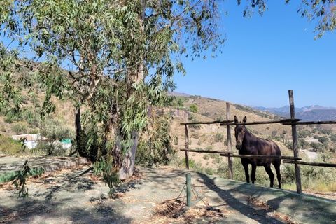 Villa i Sedella, Malaga, Sedella - € 398.000 | Ref: C3860 - foto 23