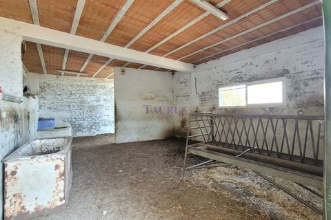 Villa i Sedella, Malaga, Sedella - € 398.000 | Ref: C3860 - foto 25